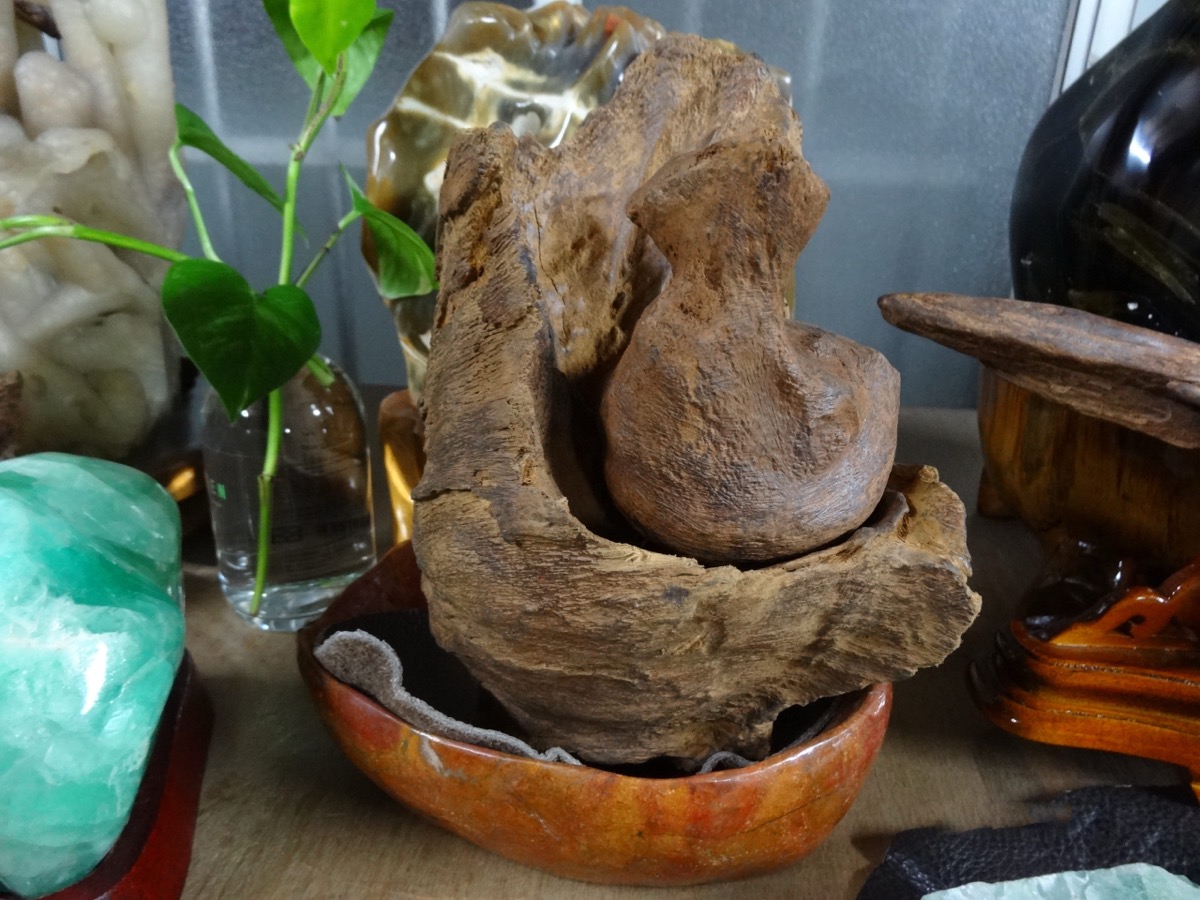 筏沉木