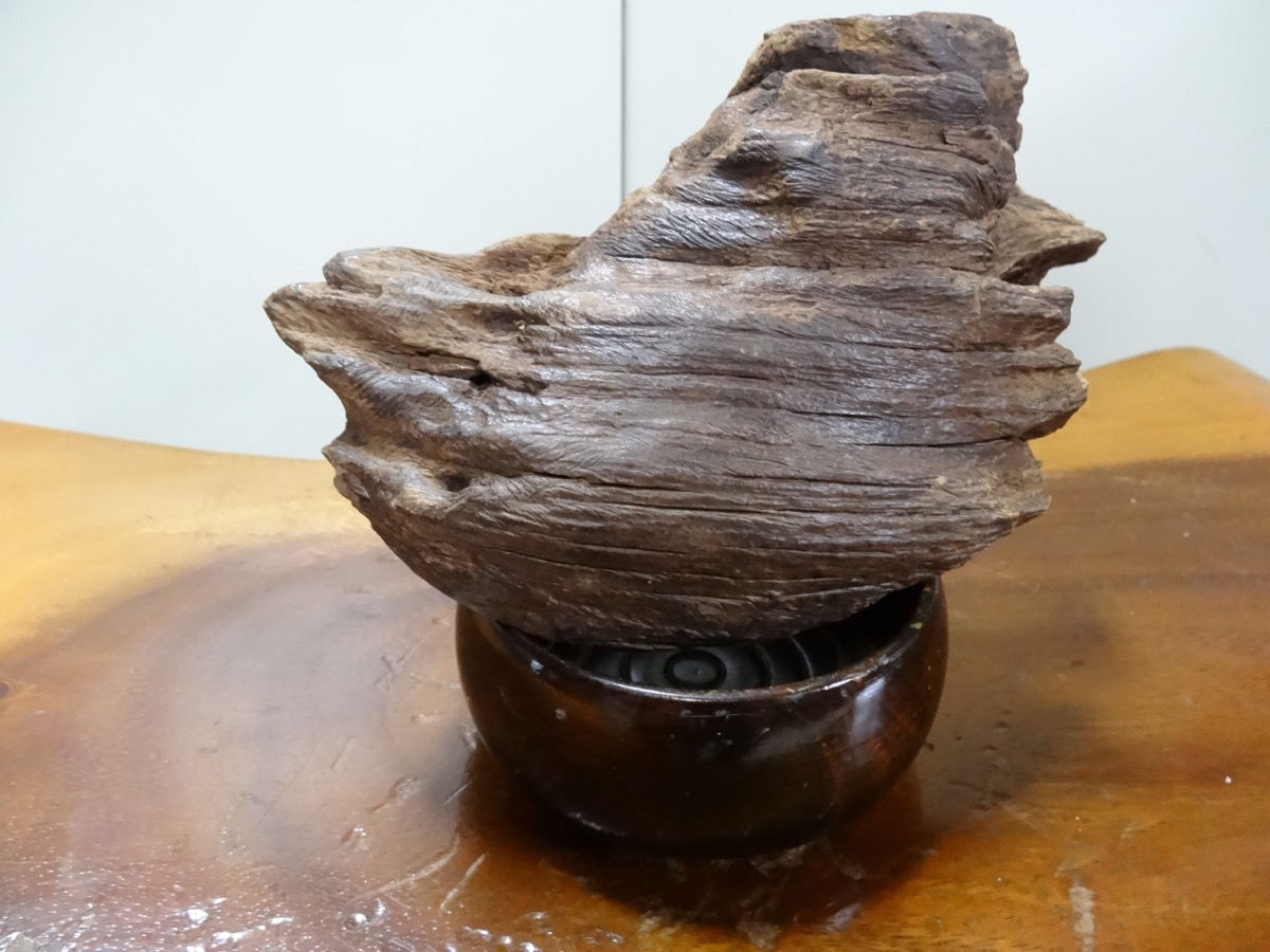 筏沉木